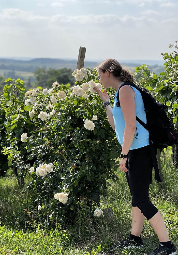 Wandern Schwäbische Alb