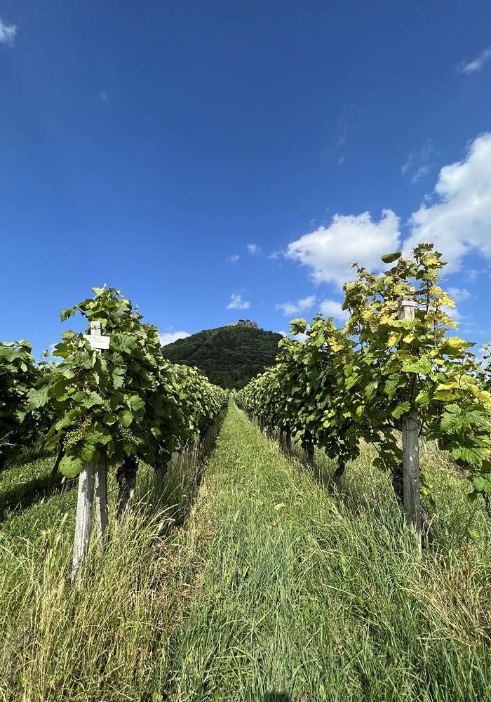 Wandern Hohenneuffen